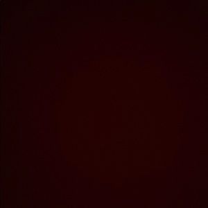 Meet your Posher, Felisha